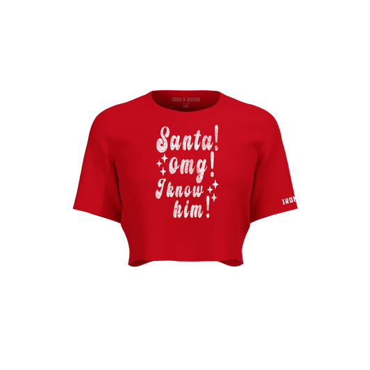 SANTA! OVERSIZED CROP